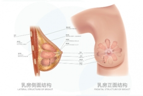 產(chǎn)后乳房修復(fù)